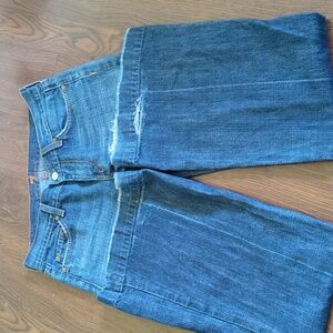 7 for all mankind dojos